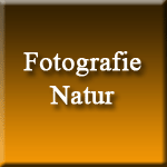 Galerie Fotografie-Natur
